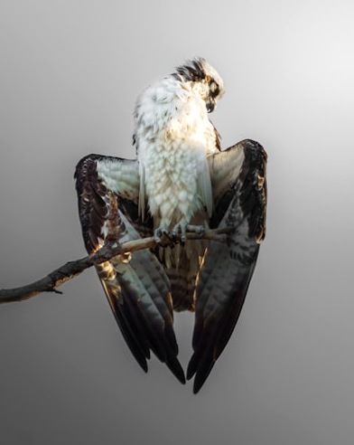 极悦体育独家聚焦:2026年6月19日League Two激战,Shangyu Pterosaur半场0-1落后Guangdong Mingtu